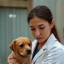 Vet comforting a nervous pet and reassuring owner